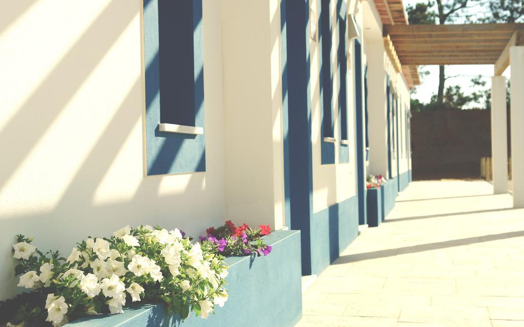 Casas Novas Da Fataca Vakantieboerderij Zambujeira do Mar